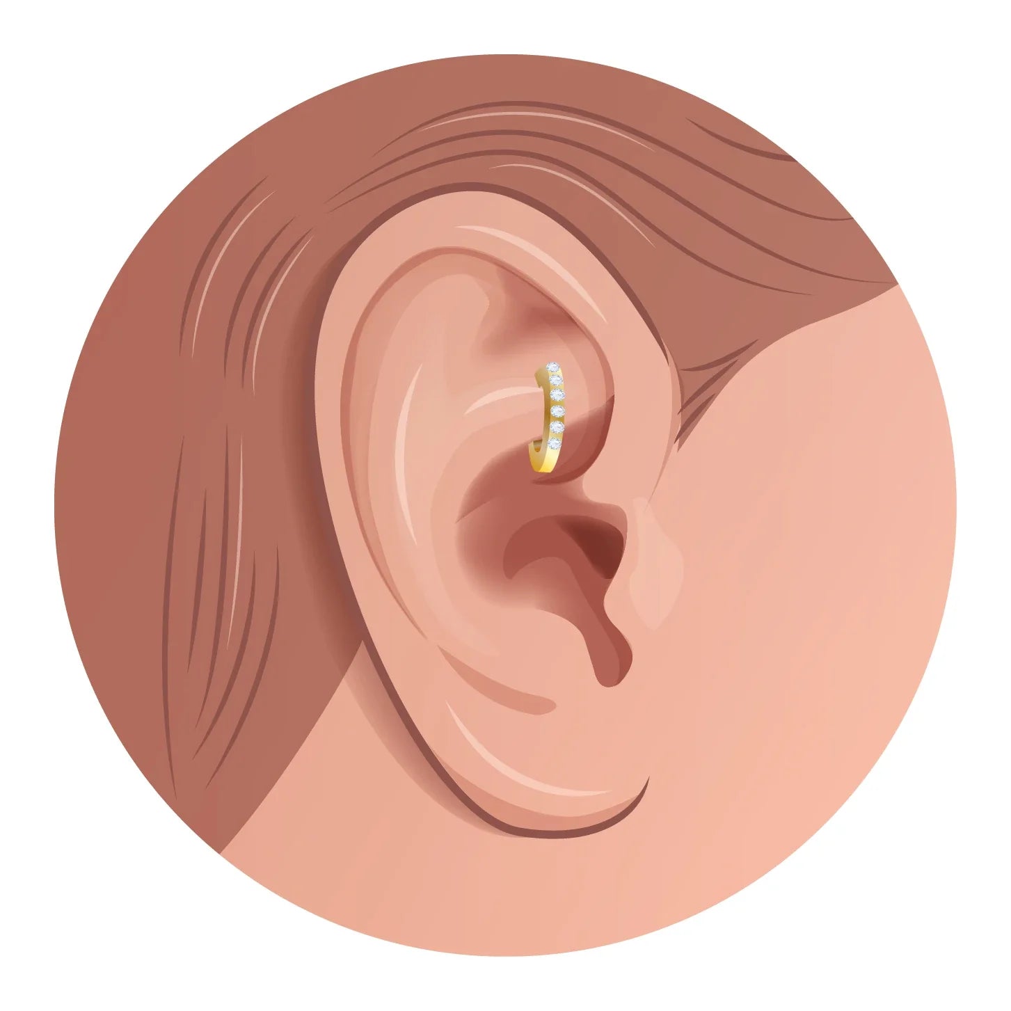 Rook