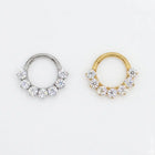 Rex Septum-Daith